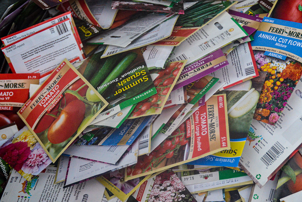 Free seeds are provided on the 10th annual Harvest Hootenanny